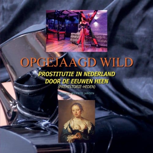 Opgejaagd Wild - Ronald Wilfred Jansen