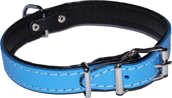 Blauwe leren hondenhalsband 22mm/53cm DINO