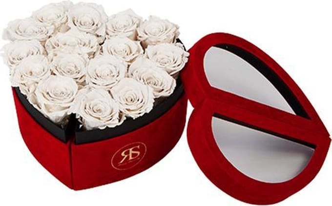 Rosuz Flowerbox longlife Scarlet wit
