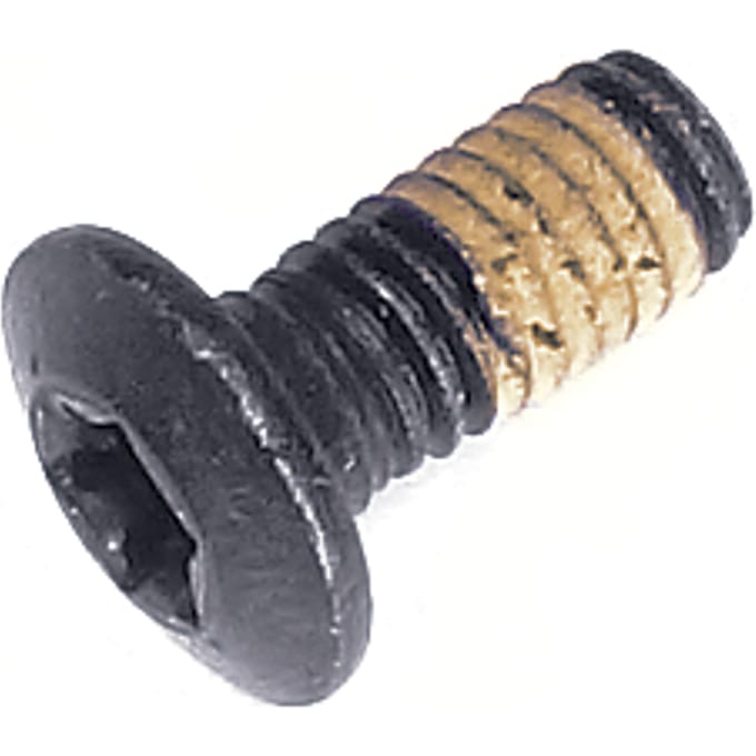 Screw