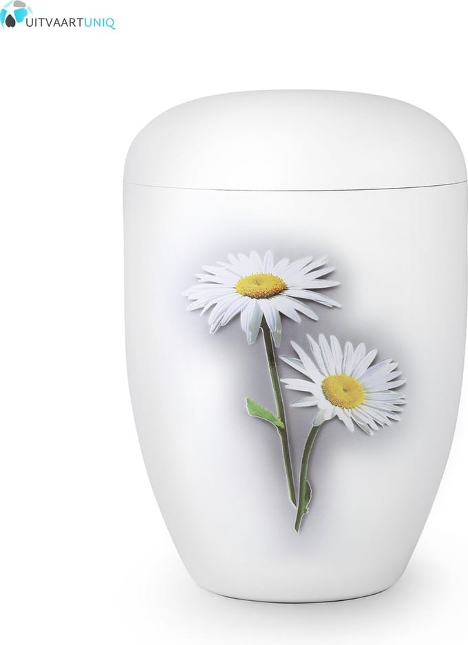 Eco urn wit madelief - bio (biologisch afbreekbaar)