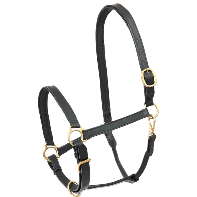 Leren halster voor pony Star Robust