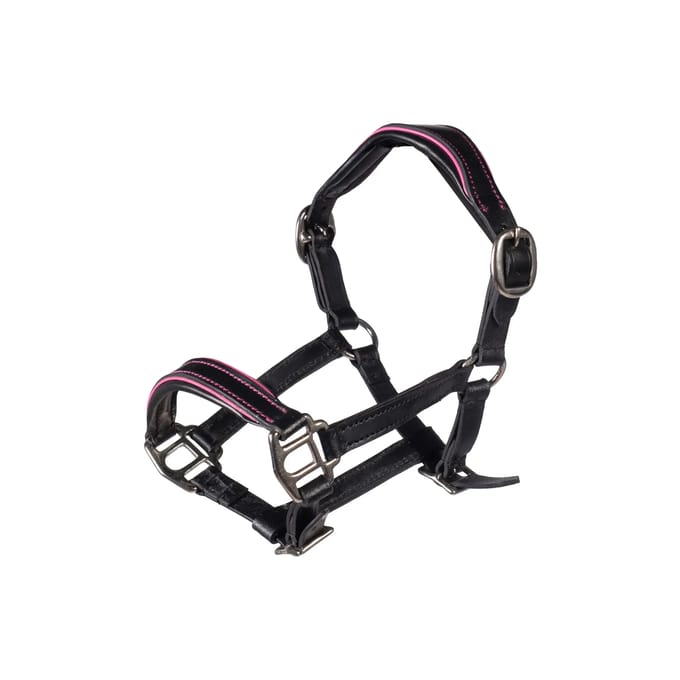 Hobby Horse Lijn van Leer HKM Kids Manchester