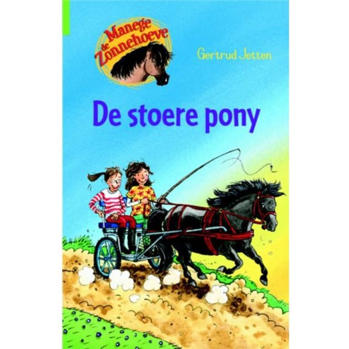 De Stoere Pony - Manege De Zonnehoeve - Gertrud Jetten