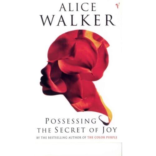 Possessing The Secret Of Joy - Alice Walker