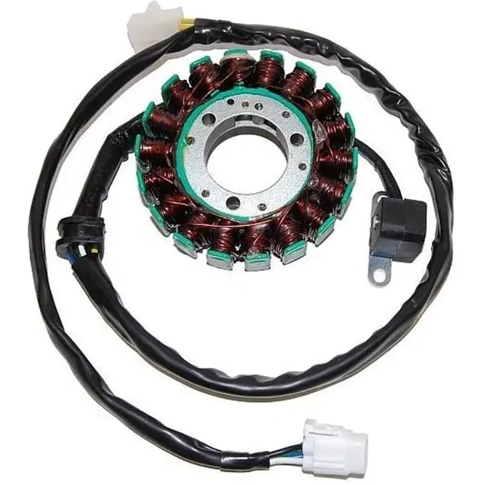 Originele aanpasbare motor dynamo Electrosport Kawasaki