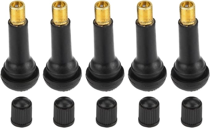Dailygoods- Autoventielen 100 Stuks - Snap-in Ventielen - Rubber