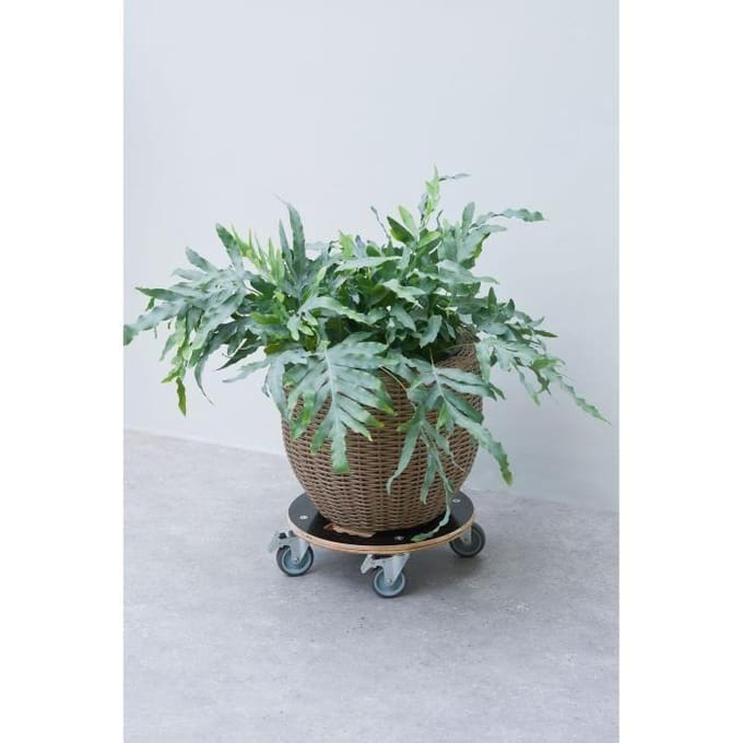 Support de pot roulant carré - NATURE - Bois FSC® - Charge max 250 kg - Roues multidirectionnelles