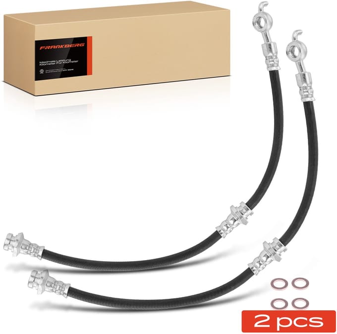 Frankberg 2x remslang voor voor Isuzu Trooper III Opel Monterey B