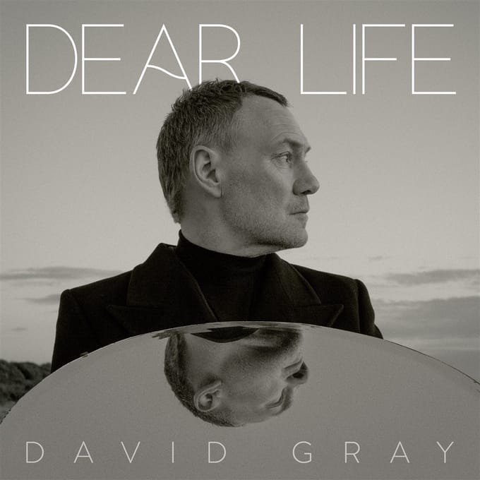 David Gray - Dear Life (2 LP)