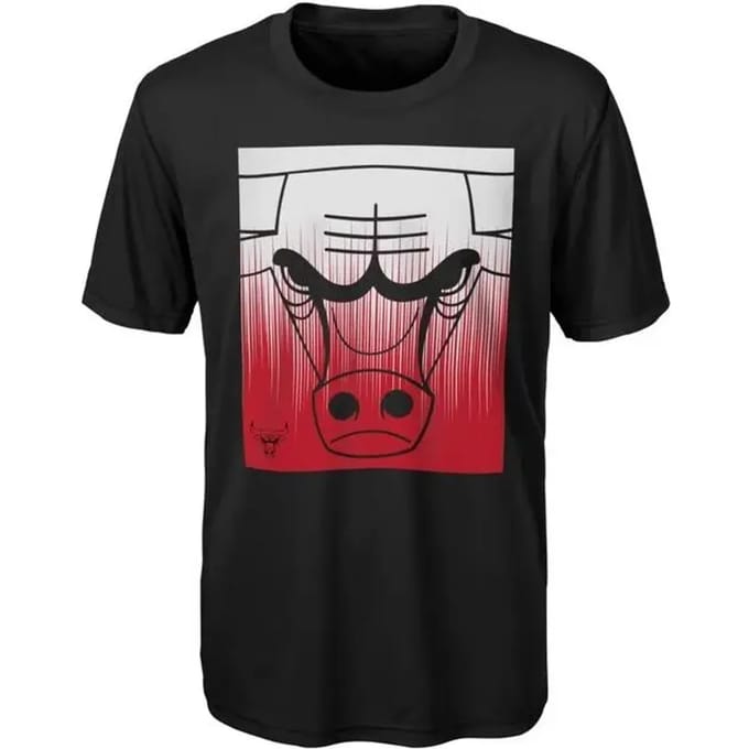 Kinder-T-shirt Chicago Bulls Fresh Fade
