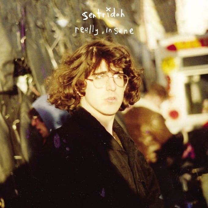 Sentridoh - Really Insane: A Lou Barlow Compendium (LP)