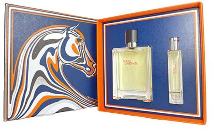 HermÈs Terre d'Hermes Giftset 100ml Eau de Toilette + 15ml eau de Toilette