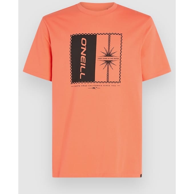 O'Neill Mix & Match Palm T-Shirt rood