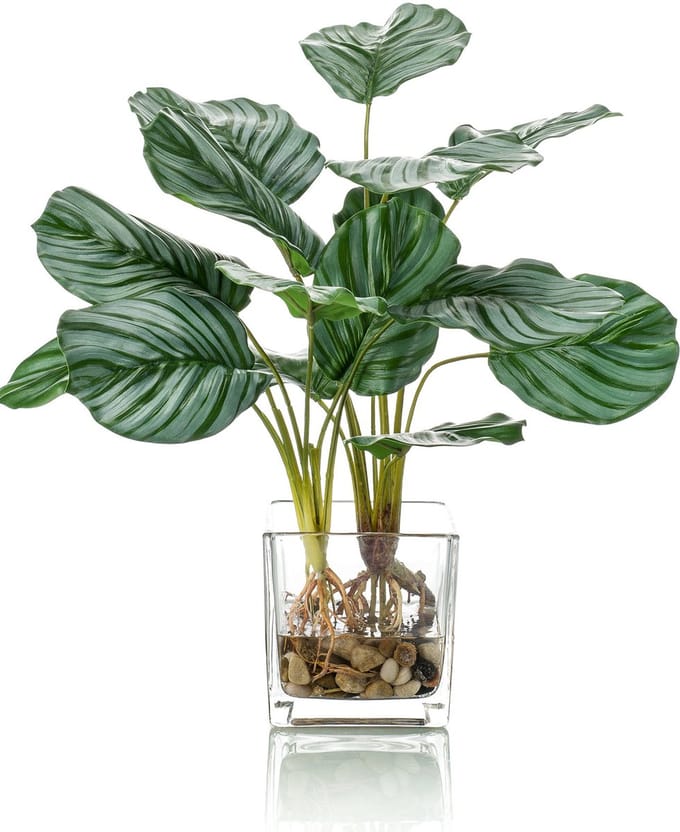 Kunstplant Calathea 45 cm in glas