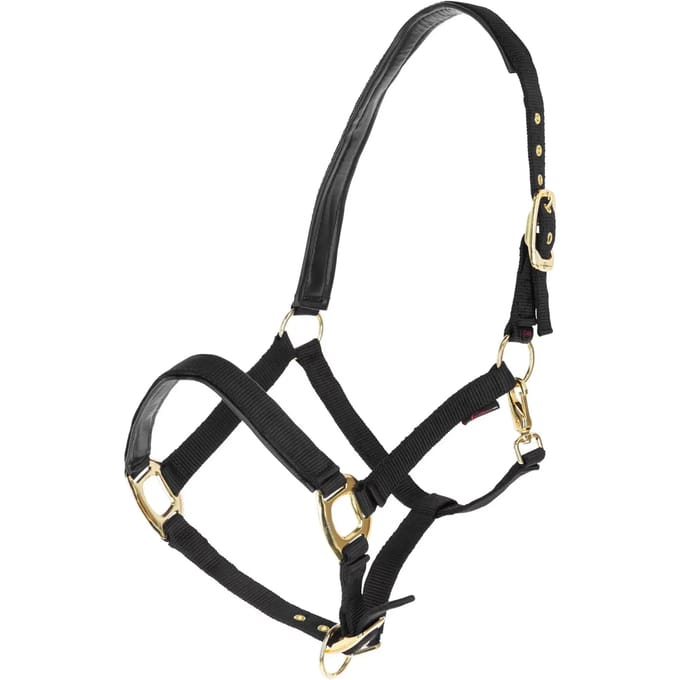 Halster voor paarden Covalliero TopLine