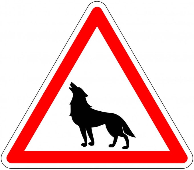 Pas op voor wolven sticker 100 mm