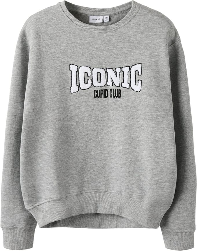 NAME IT - NKMBCUPID LS NREG SWEAT BRU - Jongens - Sweaters - Maat 146/152