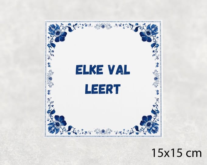 Spreuk tegel 15x15 cm Elke val leert