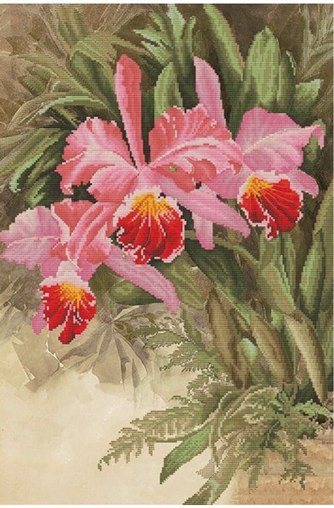 Borduurpakket Tropische orchidee