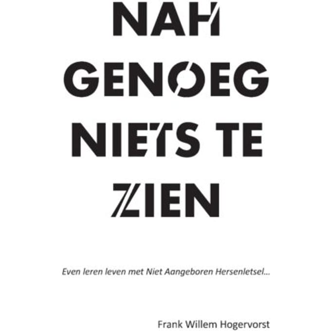 Nahgenoeg Niets Te Zien - Frank Willem Hogervorst