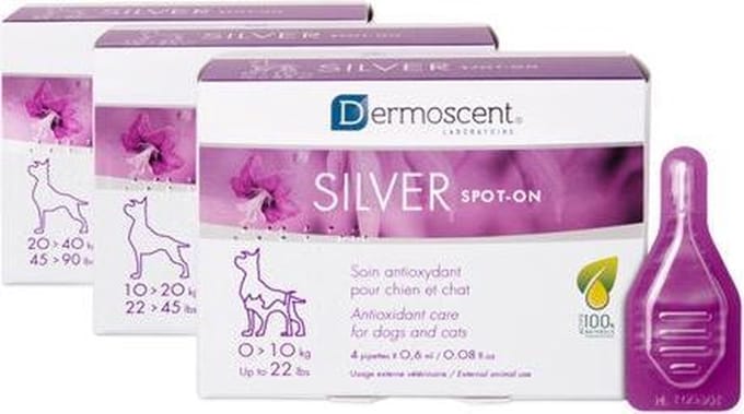 Dermoscent Silver Spot-on Hond - 10-20 kg