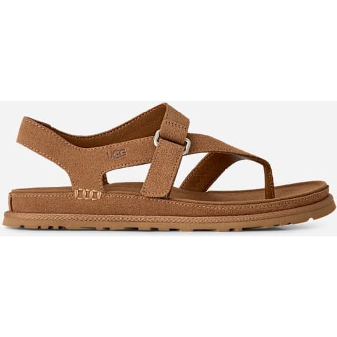 UGG® GoldenGaze Toe Post Sandal in Brown, Suede/Polyester/Leather