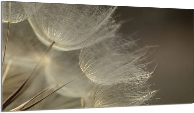 TMK ArtDeko - Snijplank - 90x52 cm - Kwiat - Veiligheidsglas