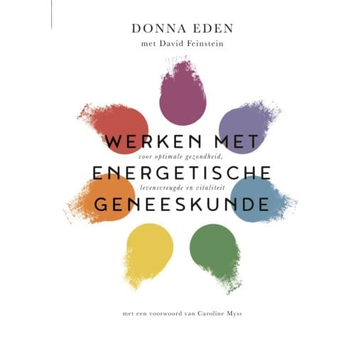 Werken Met Energetische Geneeskunde - Donna Eden