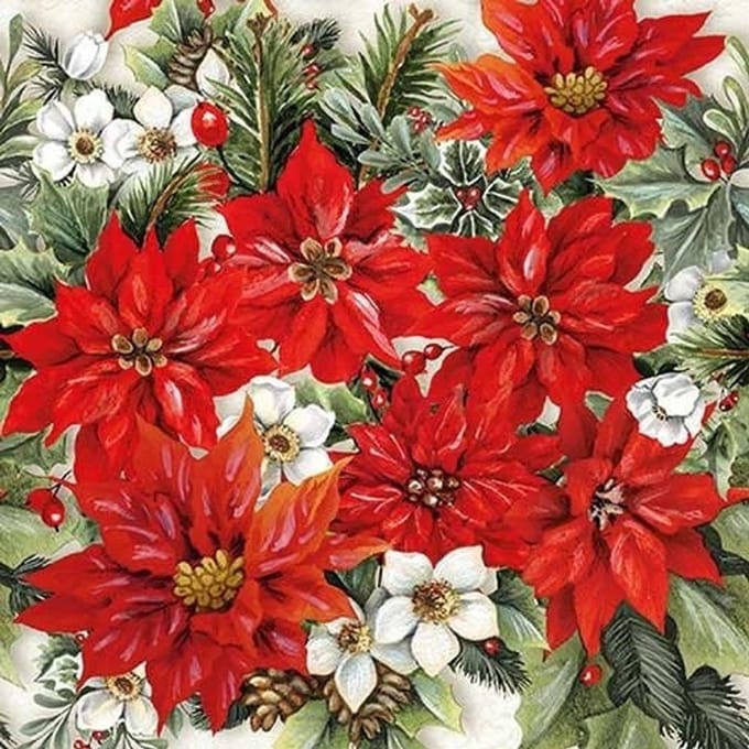 Ambiente - Lunch servetten - Poinsettia All Over