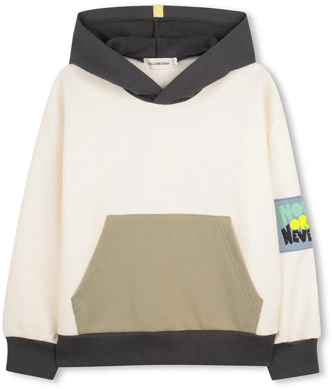 Billieblush U21691 Sweatshirt Wit 10 Years Jongen