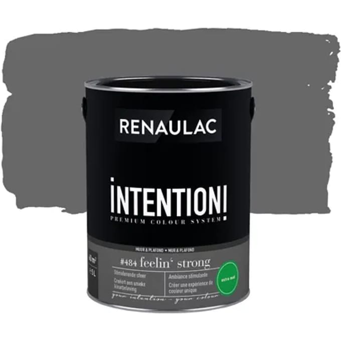 Renaulac Intention Muurverf - Extra Mat - Feelin' Strong - 5l