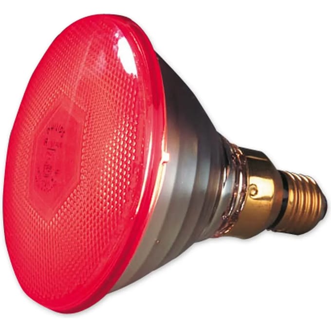 Philips - Warmtelamp E 100w Rood Energie Besparend