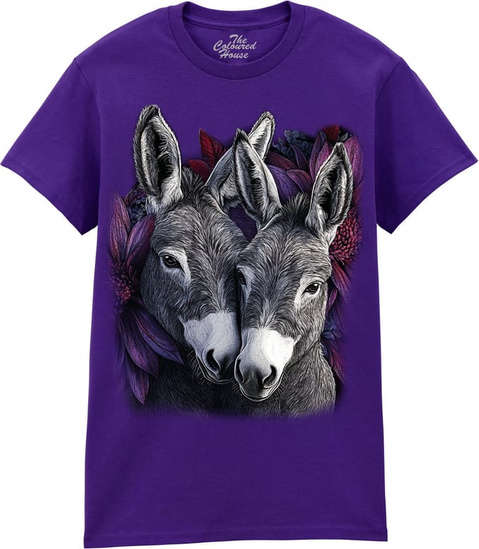 Ezels Donkey Pair The Coloured House T-shirt S