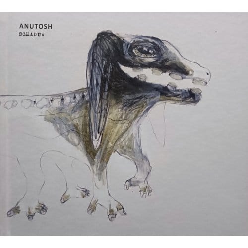 Anutosh - Schaduw - Mischa Andriessen
