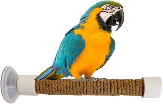 Zitstang Vogel - Vogel Speelgoed - Vogel Training - Zuignap Montage - Maat M - Als Afbeelding