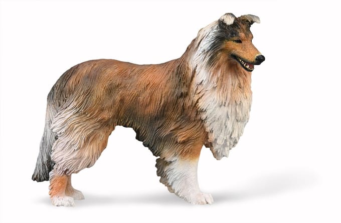 COLLECTA Figurine - Collie - (L)