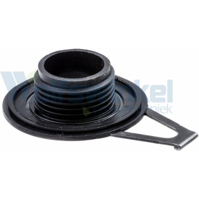 Pinion