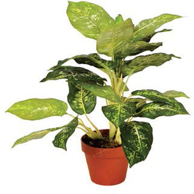 Intergard Kunstplanten Calathea Luisae 50cm