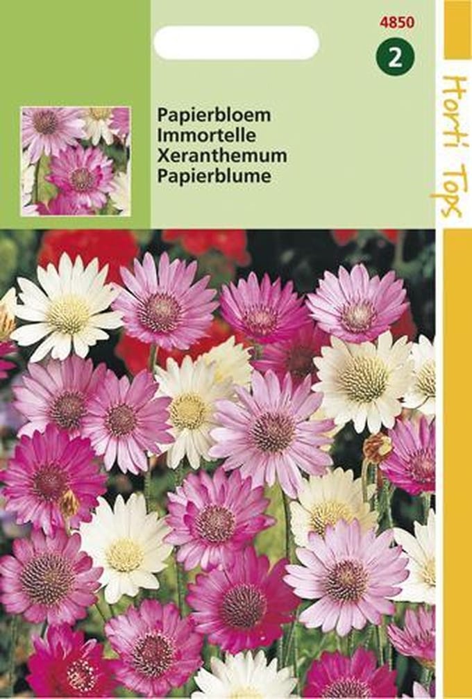 Hortitops Zaden - Xeranthemum Annuum Gemengd