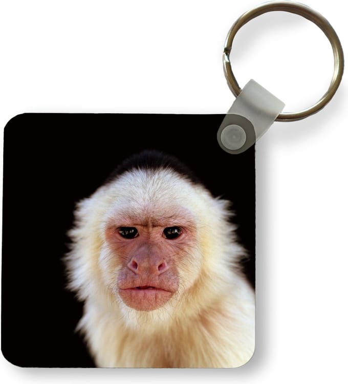 Sleutelhanger - Uitdeelcadeautjes - Aap - Vacht - Zwart - Plastic