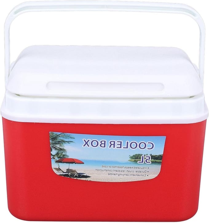 Draagbare Koelbox - Isolatie Box - Eten Vers Houden - Efficiënte Temperatuur Behoud - 5 Liter - Wit