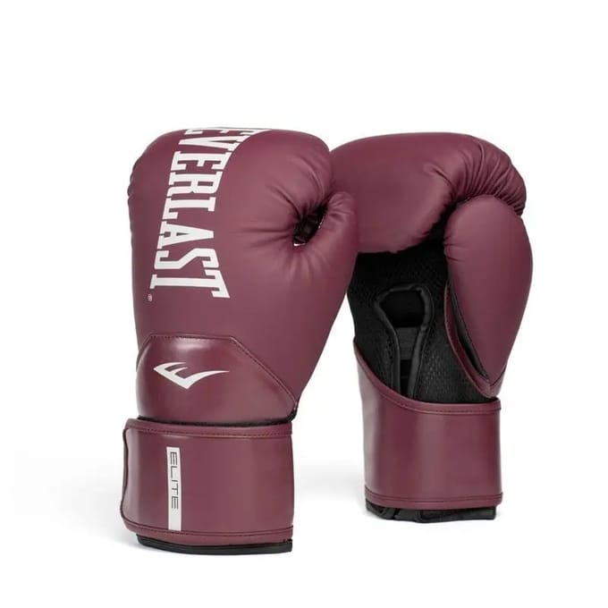 Bokshandschoenen Everlast Elite 2