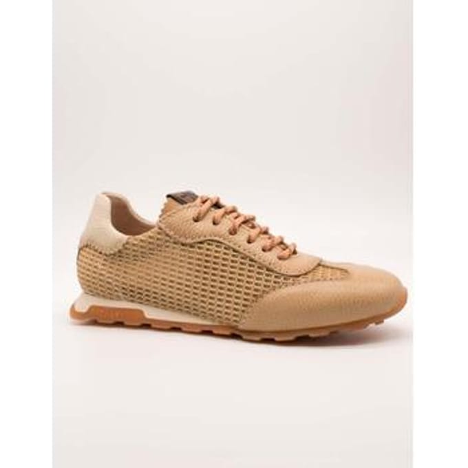 Lage Sneakers Hispanitas HV264596