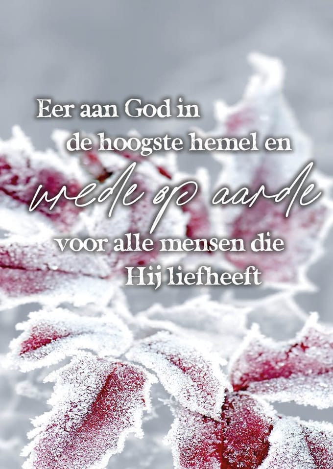 Kerstkaart 'Eer aan God, Vrede op aarde ' 12 stuks met envelop