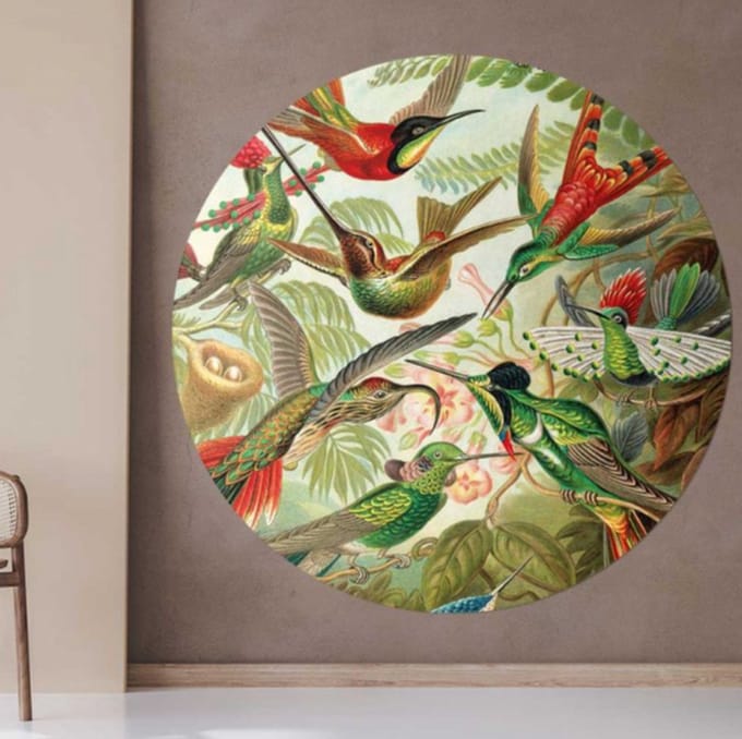 Behangcirkel 80cm Hummingbirds, Ernst Haeckel - Wallz