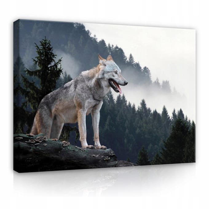 WALLARENA - Canvas schilderij - 100x70 cm - Wolf in de bergen met mist