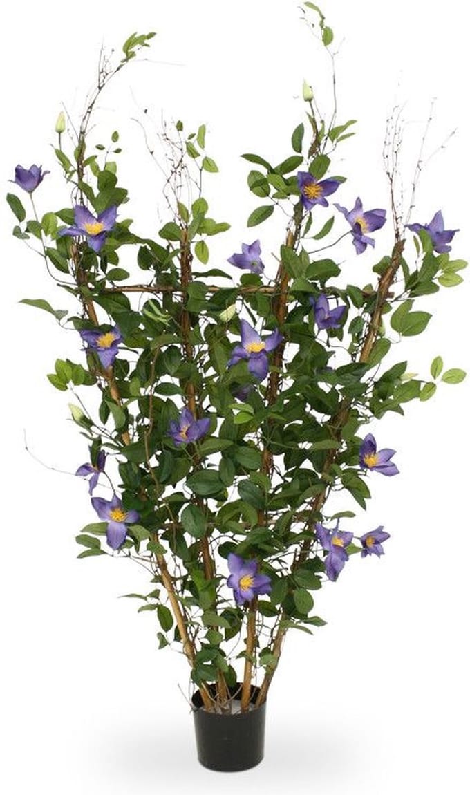 Clematis kunstheg 125cm - paars