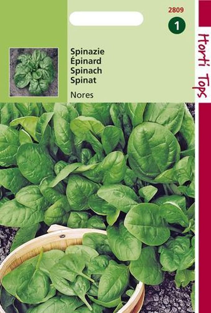 Hortitops Zaden - Spinazie Nores 15 gram