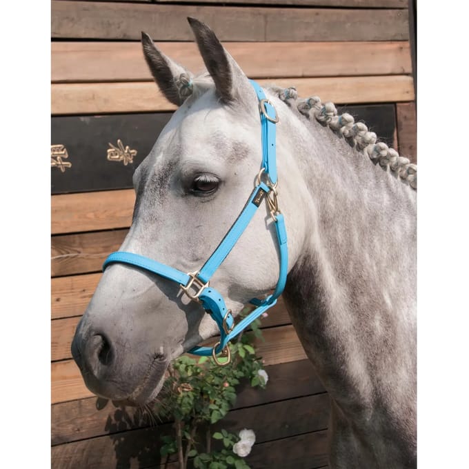 Halster voor paarden T de T Biotack®